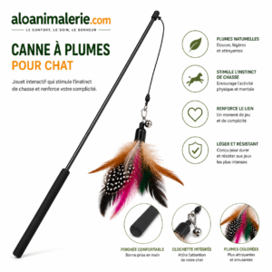 Canne à Plumes Interactive pour Chat – Aloanimalerie