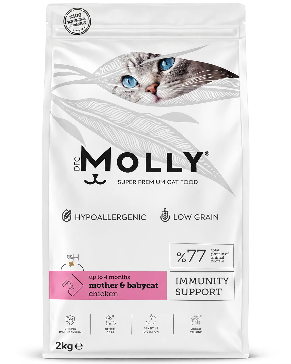 MOLLY Super Premium – Mother & Babycat Chicken (2kg)
