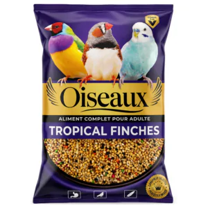 Tropical Finches