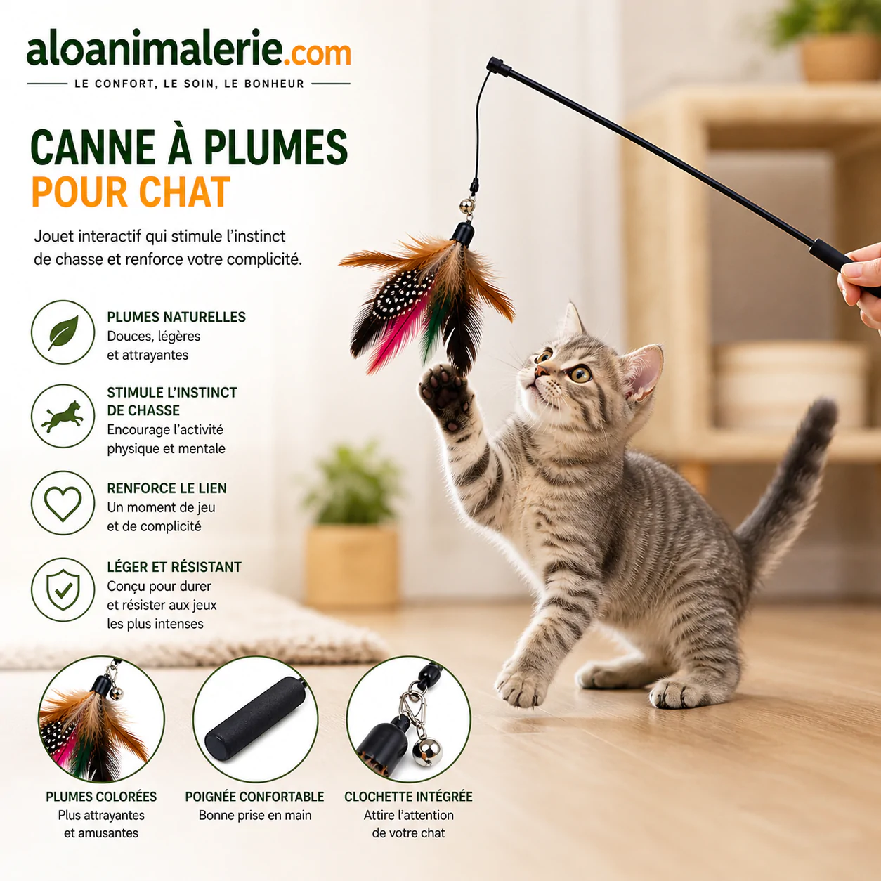 Canne à Plumes Interactive pour Chat – Aloanimalerie – Image 2