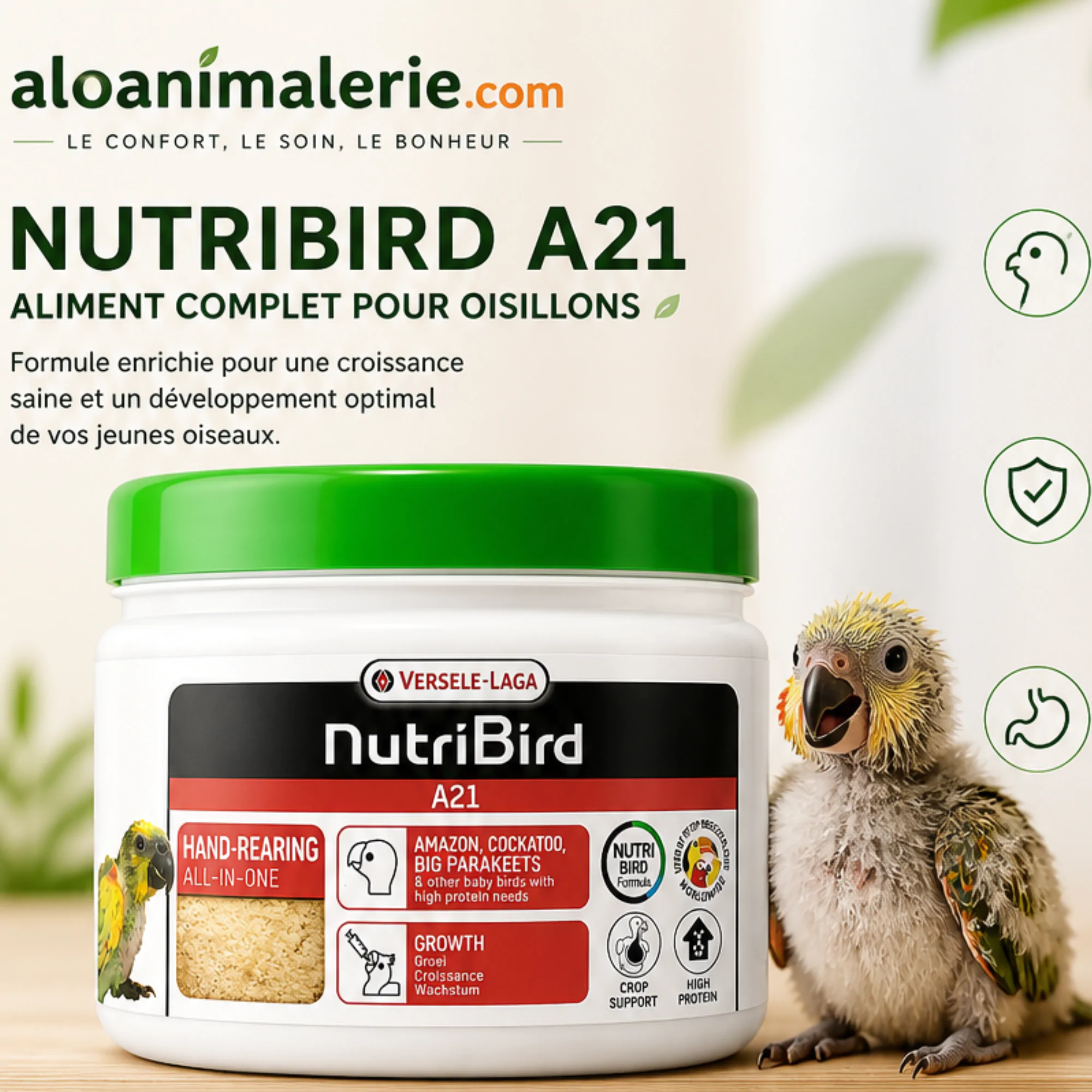 NutriBird A21 – Aliment d’Élevage à la Main pour Oisillons | Aloanimalerie – Image 2